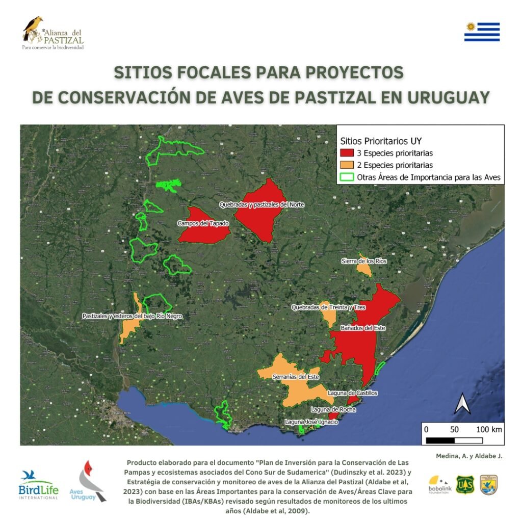 Esta información se nutre de investigaciones y trabajos de campo, uno de ellos, corresponde a la Estrategia de conservación y monitoreo de aves de la Alianza del Pastizal.