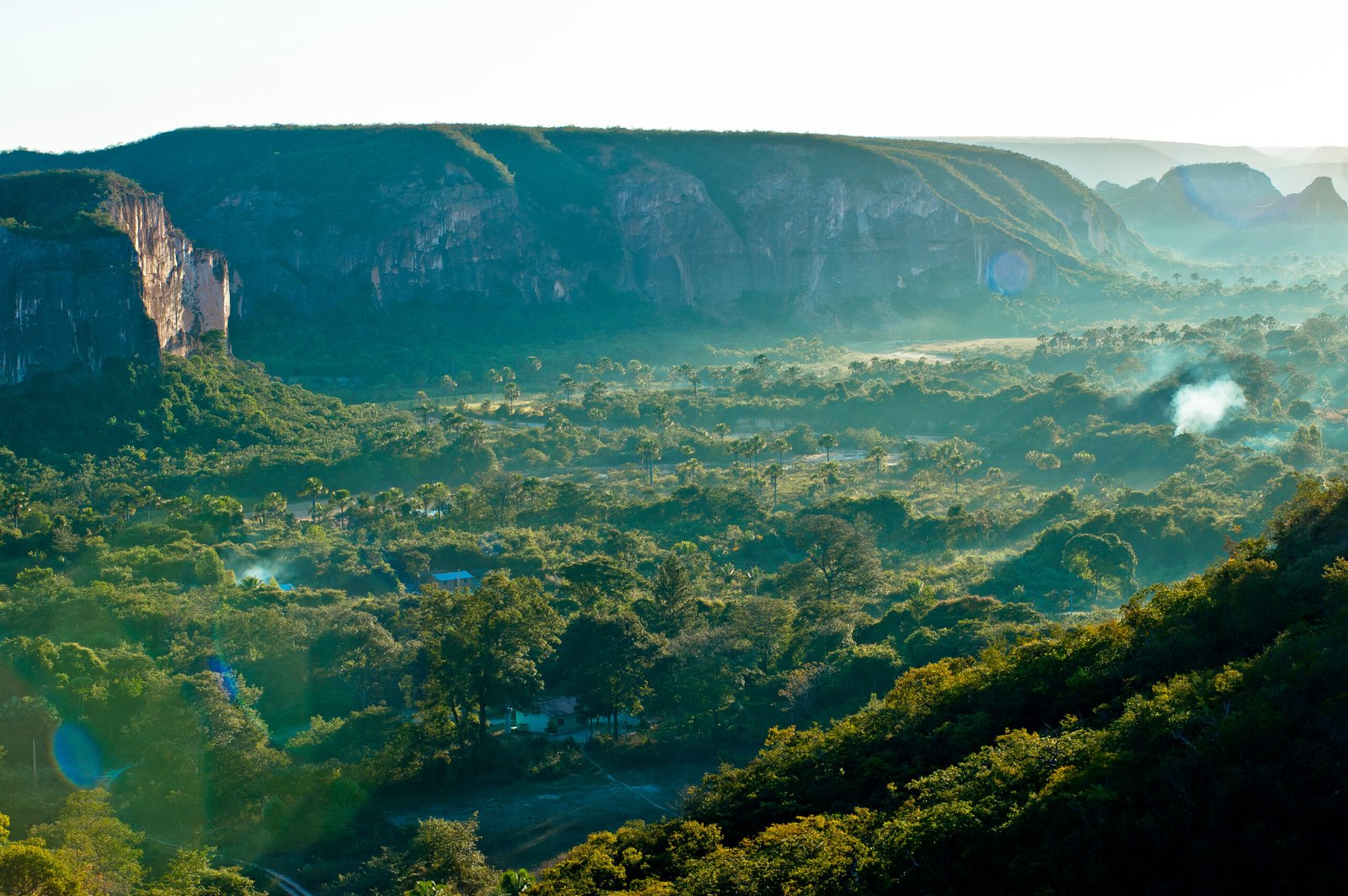 Cerrado, Brasil, fotografía de Bento Viana, WWF-Brasil.